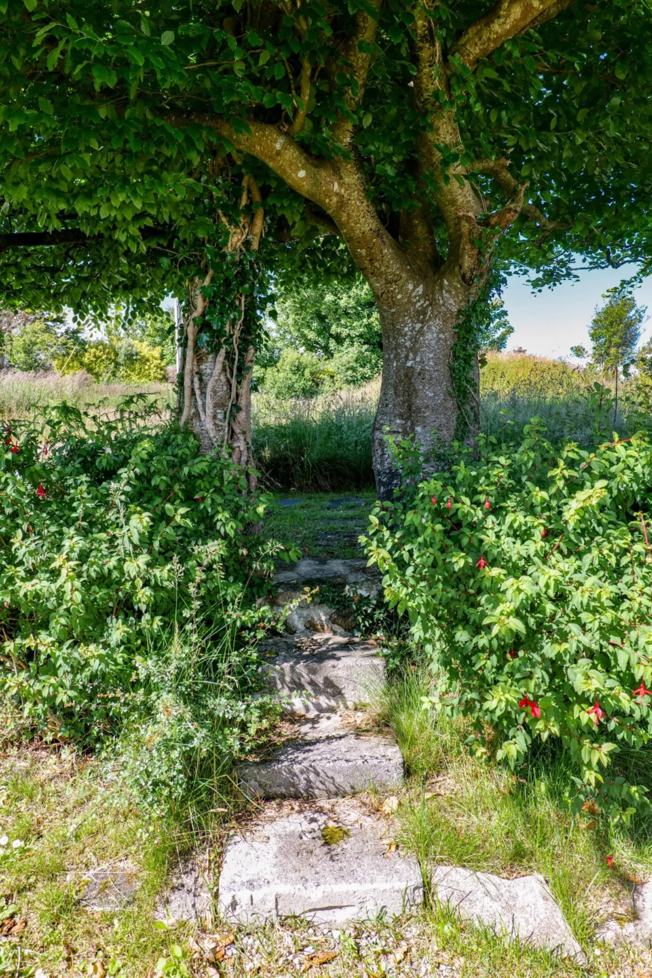 Photo of Darby's Cottage, Baile Eamon, Spiddal, Co. Galway, H91 VR6P