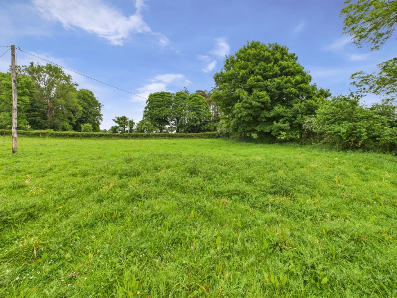 Photo of Spring Garden, Tynagh, Loughrea, Co. Galway