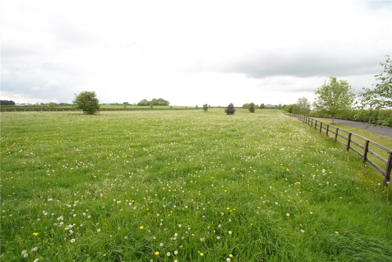 Photo of Rath House On Approx. 8.2 Acres, Ballygague, Ballacolla, Co Laois, R32 XE98