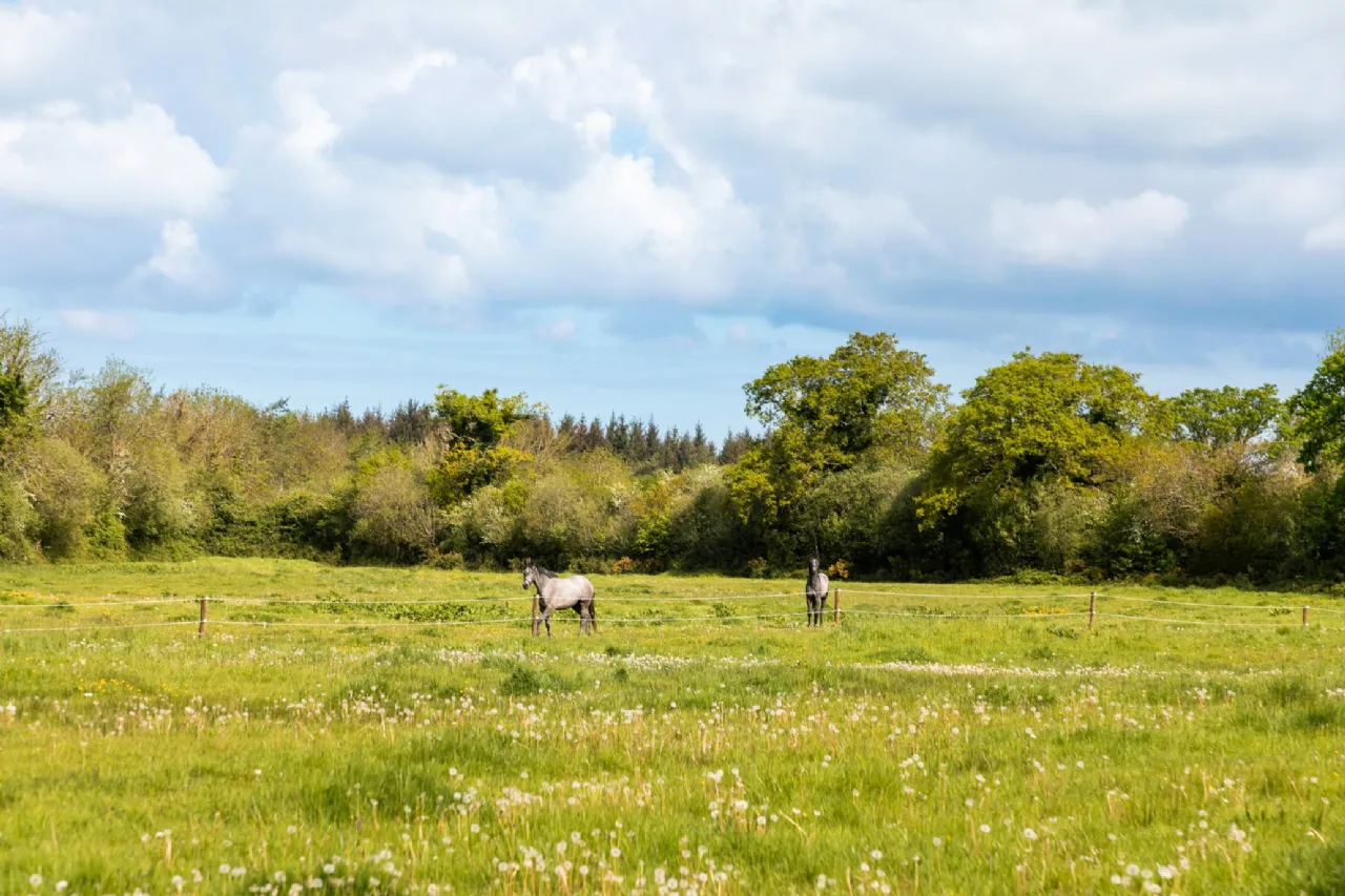 Photo of Ballylanigan House, Mullinahone, County Tipperary, E41 HR60