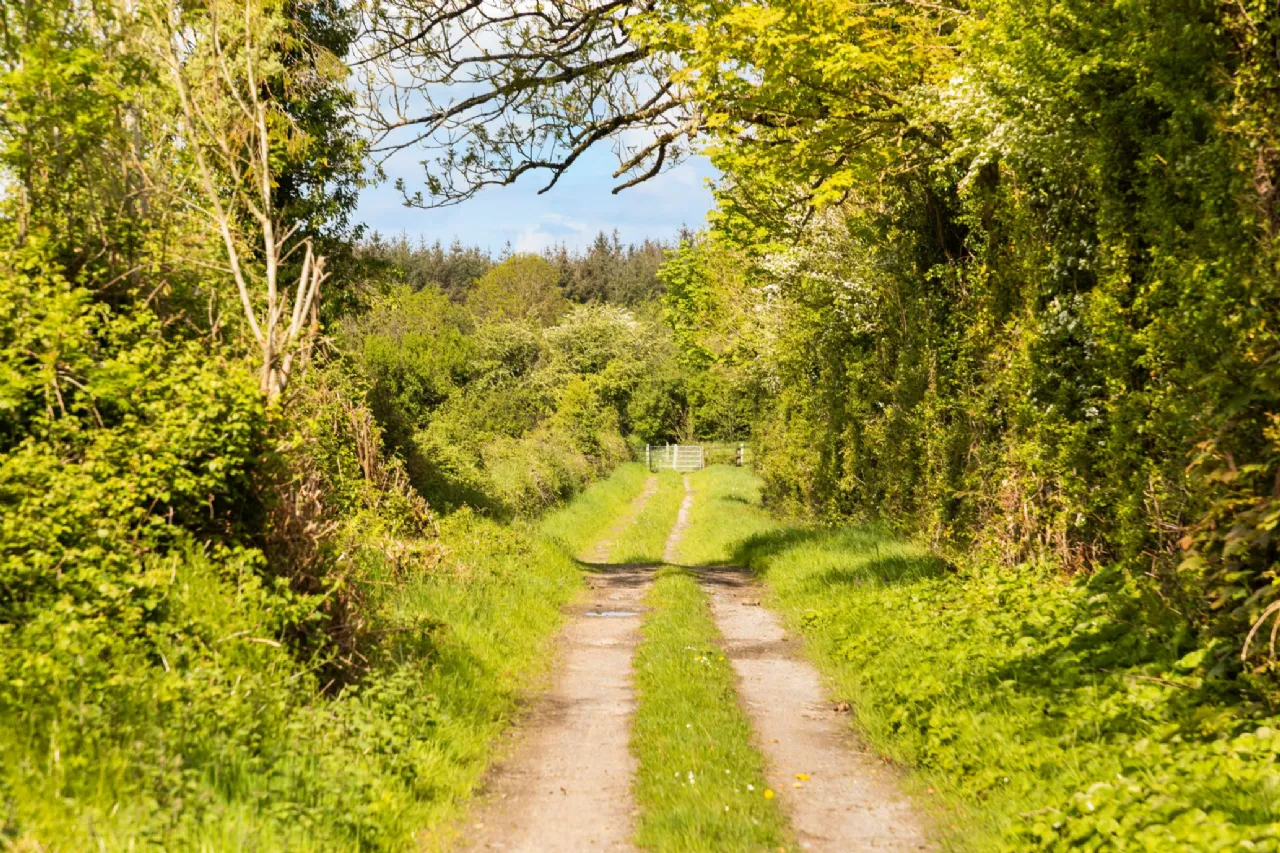 Photo of Ballylanigan House, Mullinahone, County Tipperary, E41 HR60