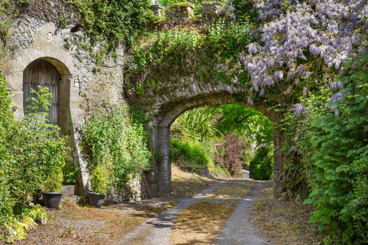 Photo of Ardfinnan Castle,, Ardfinnan, County Tipperary, E91 A398