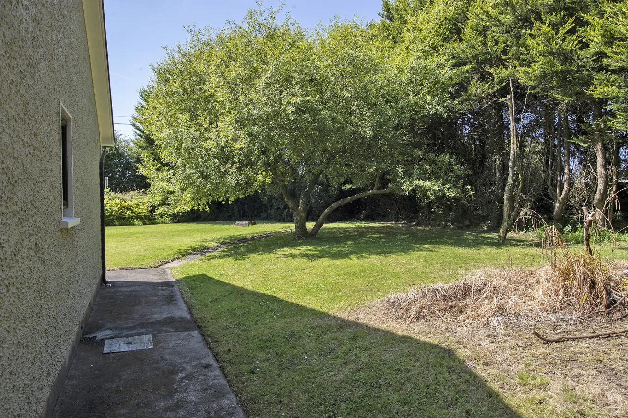 Photo of Mweeling, Ardmore, Co Waterford, P36E336
