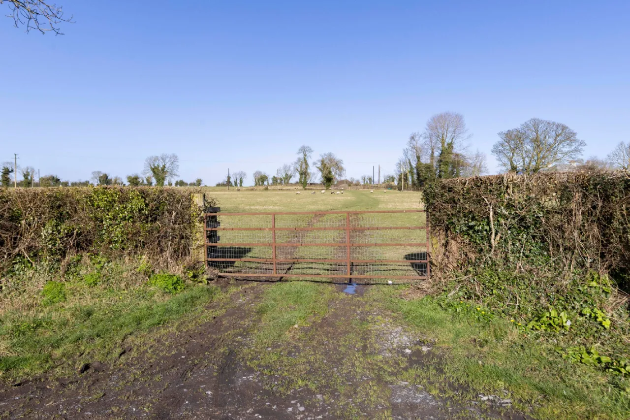 Photo of Lands At Herbertstown (The Entire), Approx. 17.3 Hectares (42.8 Acres), Dunboyne, County Meath