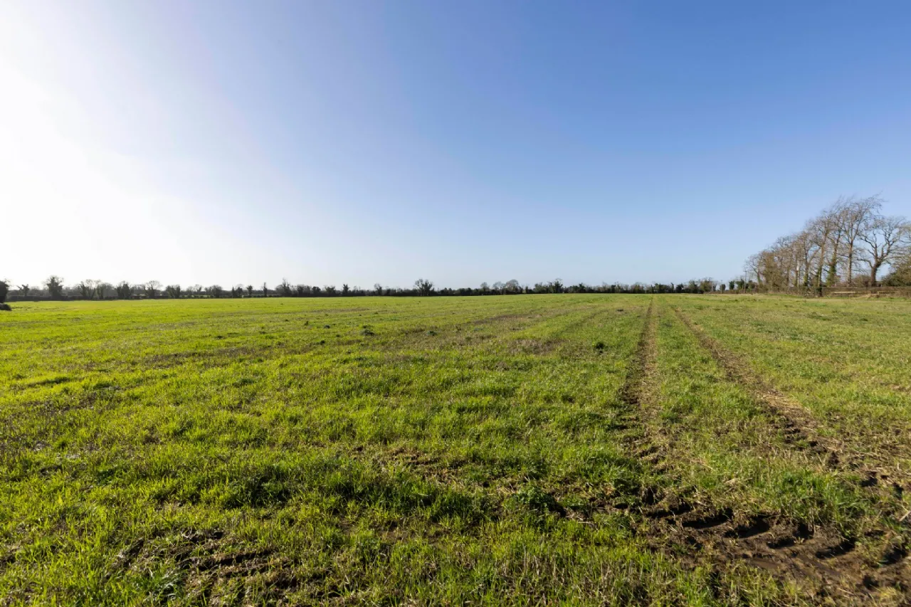 Photo of Lands At Herbertstown (The Entire), Approx. 17.3 Hectares (42.8 Acres), Dunboyne, County Meath