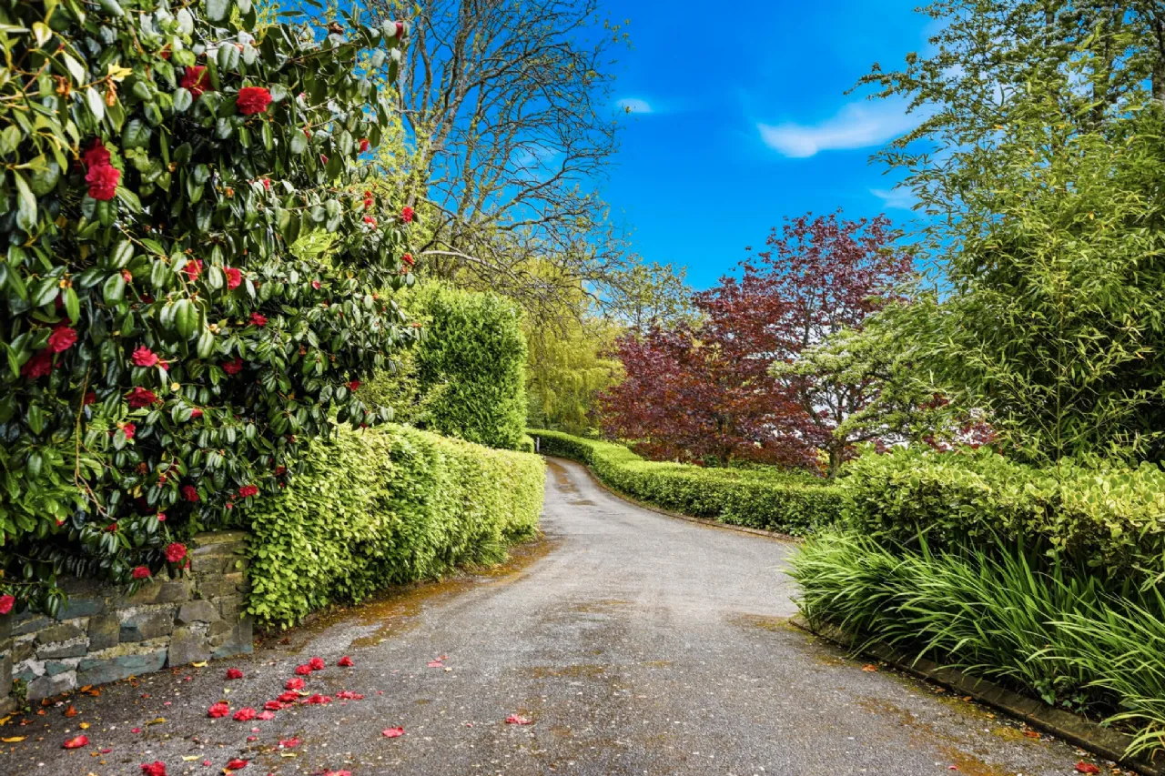 Photo of Badger House, Knockavelish, Woodstown, Co. Waterford, X91 YD99