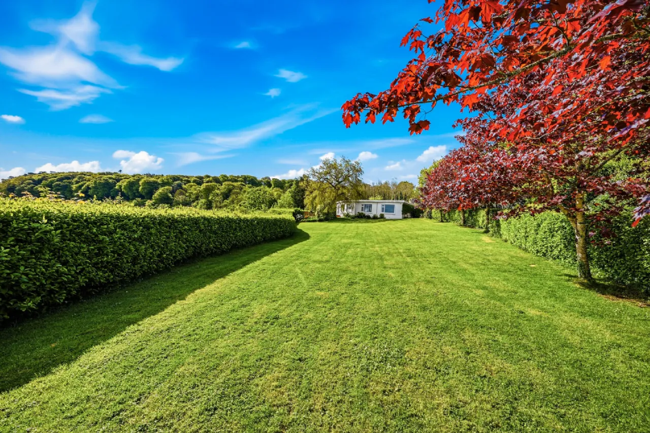 Photo of Badger House, Knockavelish, Woodstown, Co. Waterford, X91 YD99