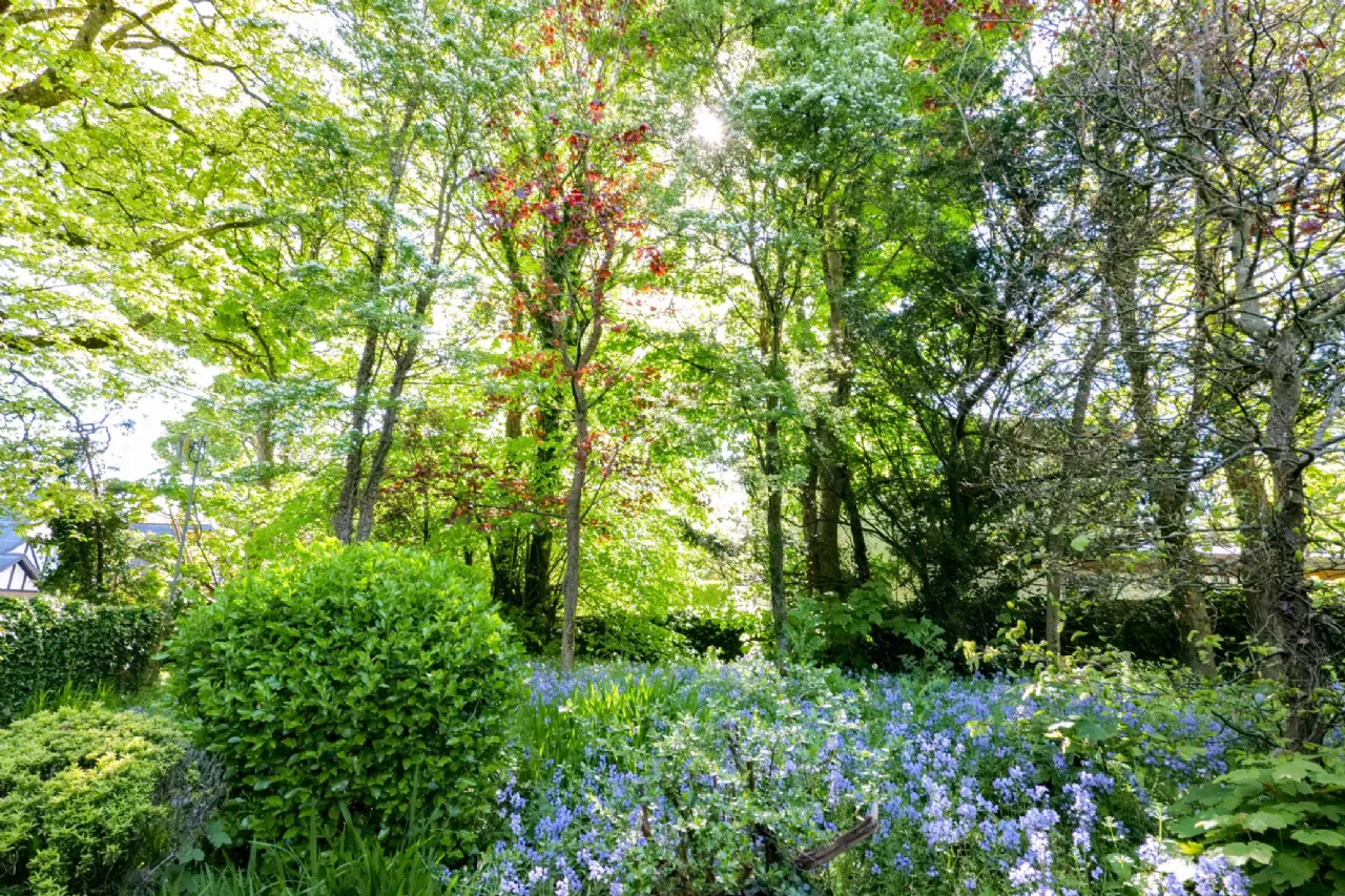Photo of Merville, Taylors Hill Road, Galway, H91 FWT7