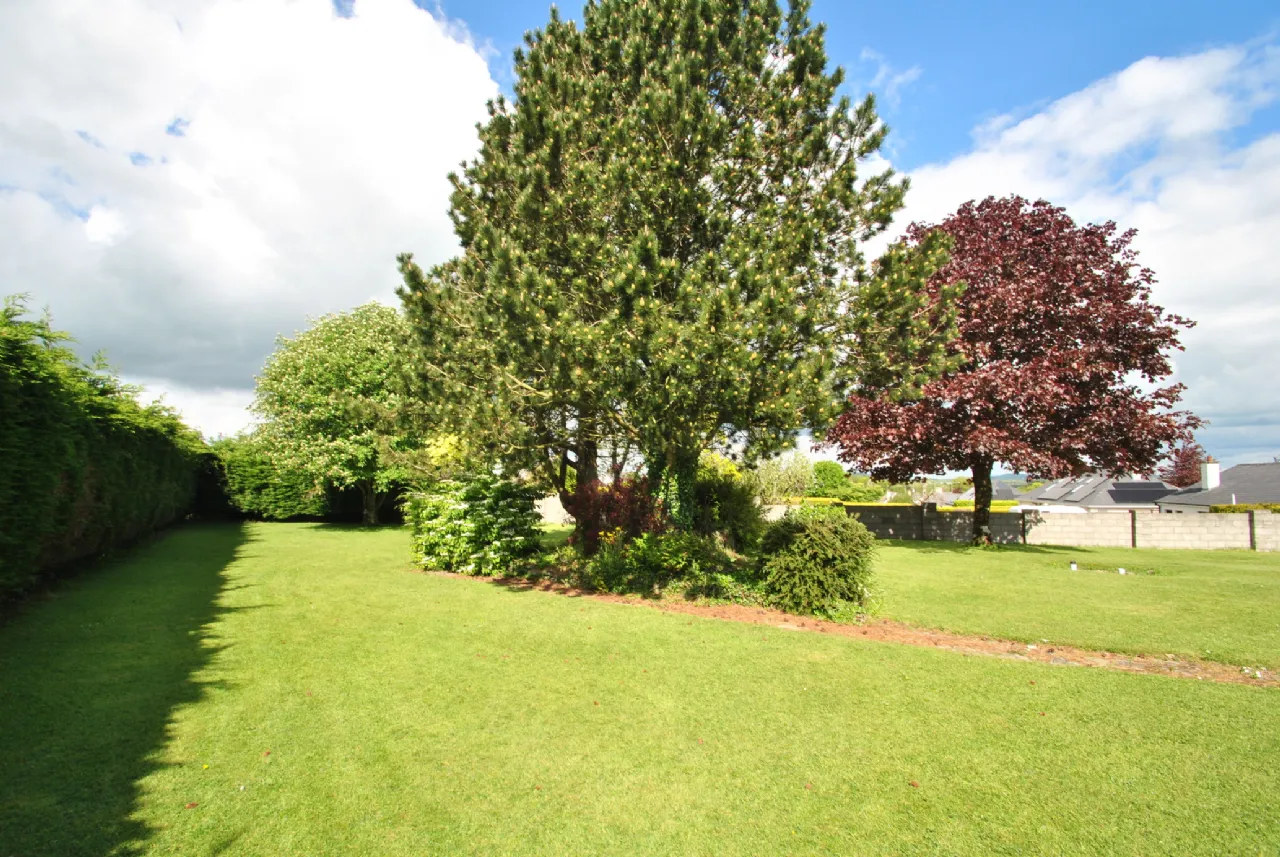 Photo of Tullaskeagh, Roscrea, Co. Tipperary, E53 EN39