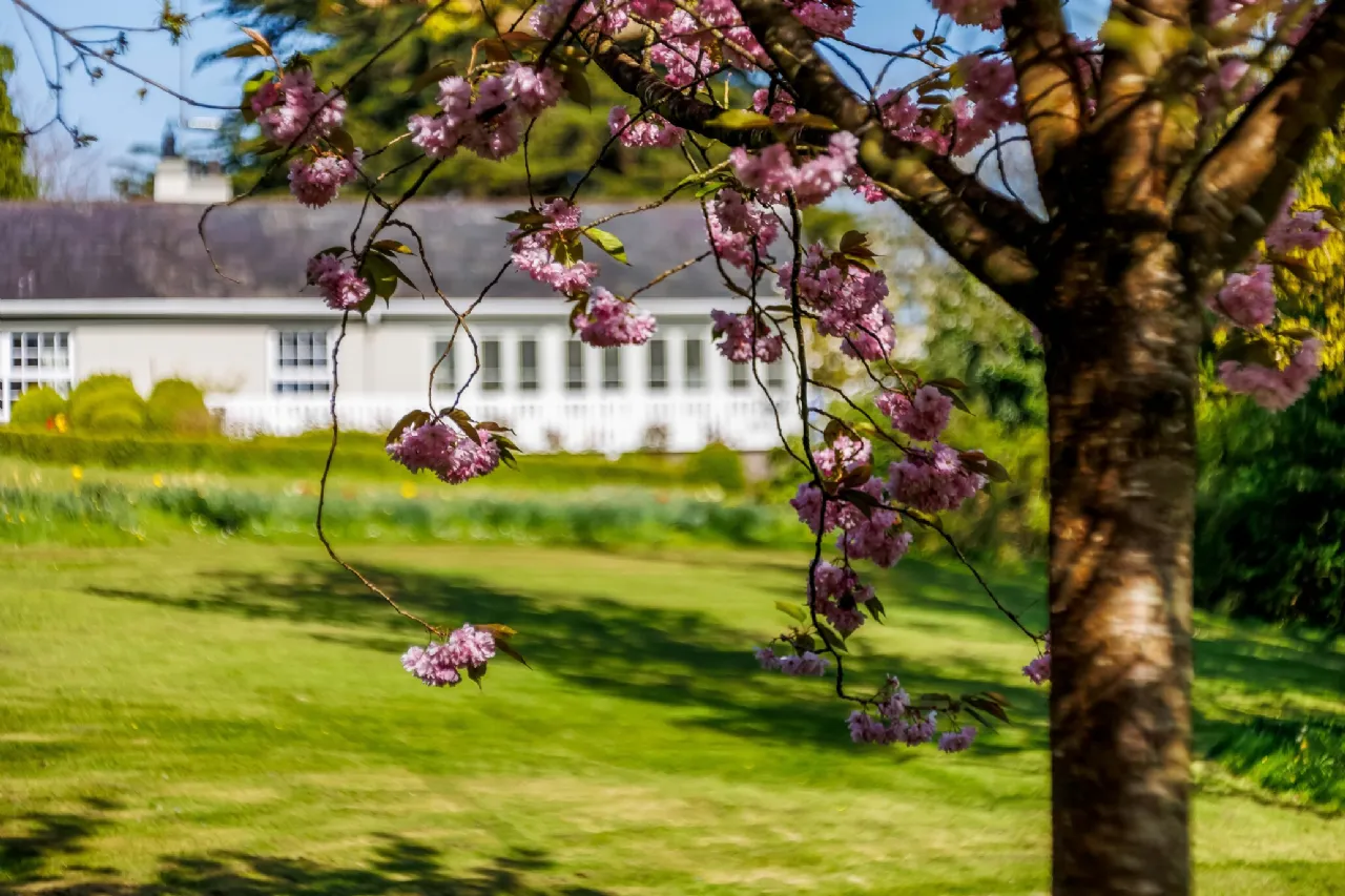 Photo of Dunmoe Cottage, Dunmoe, Navan, Co Meath, C15 A8D2