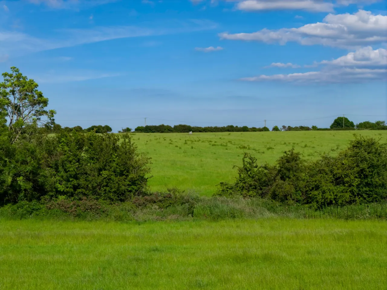 Photo of Lands At Killineer, Approx. 27.5 ha (68 acres), Drogheda, County Louth