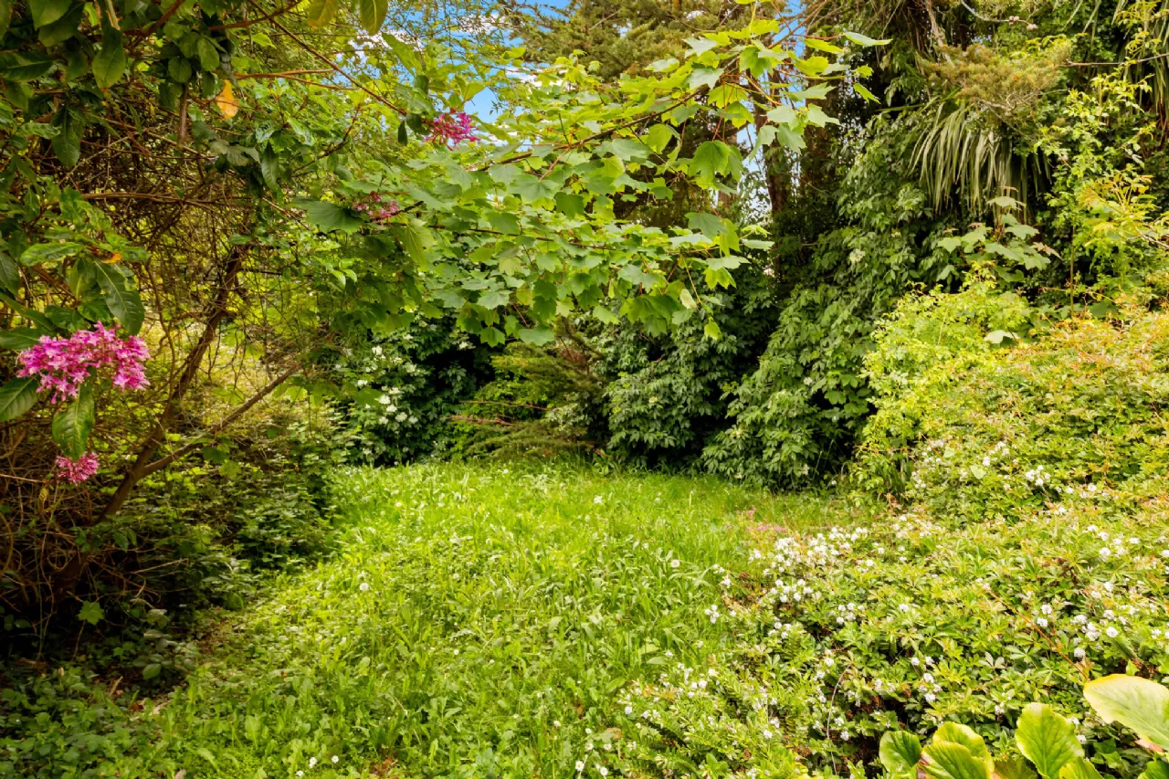 Photo of Lissadrone, Killiney Hill Road, Killiney, Co Dublin, A96HW74