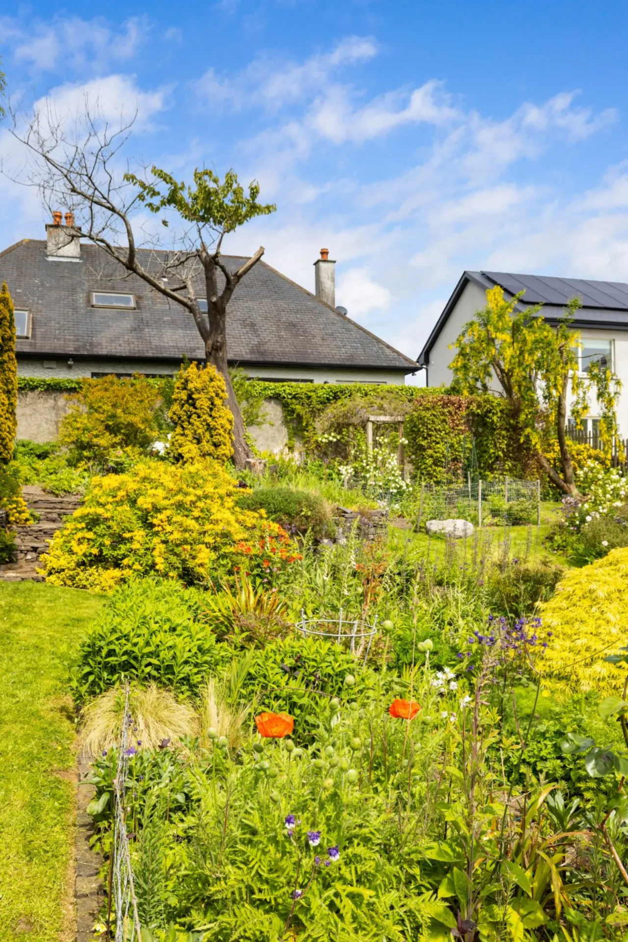 Photo of Gorsehill, Whitshed Road, Greystones, Co. Wicklow, A63 EY49