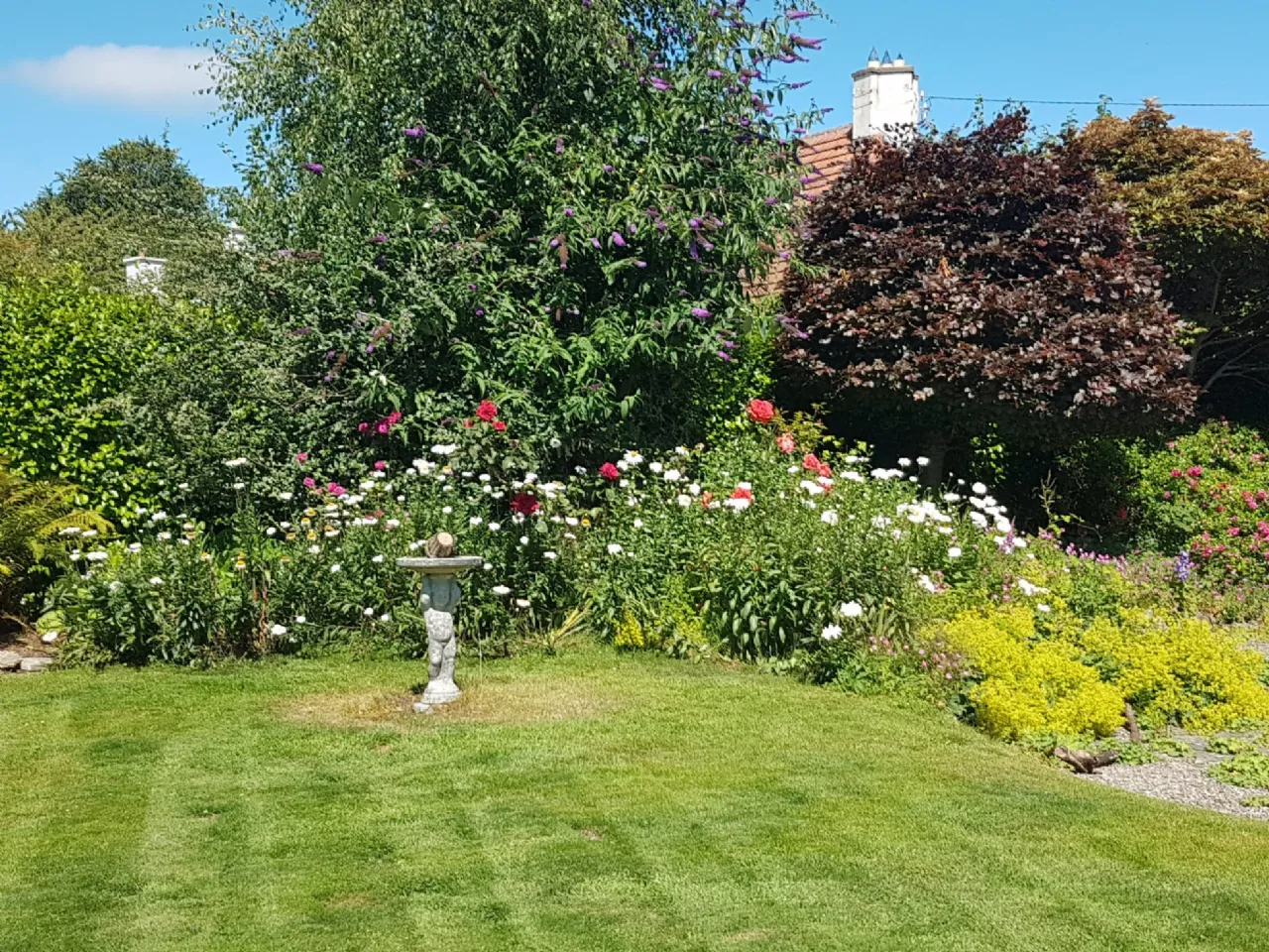 Photo of Papion, Erskine Avenue, The Burnaby, Greystones, Co Wicklow, A63 AV88
