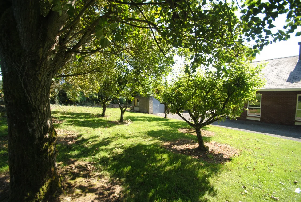 Photo of Carraigaun, Ballaghmore, Roscrea, Co Tipperary, R32 WN3X