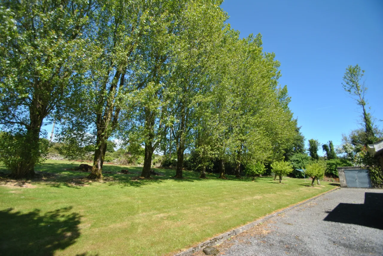 Photo of Carraigaun, Ballaghmore, Roscrea, Co Tipperary, R32 WN3X