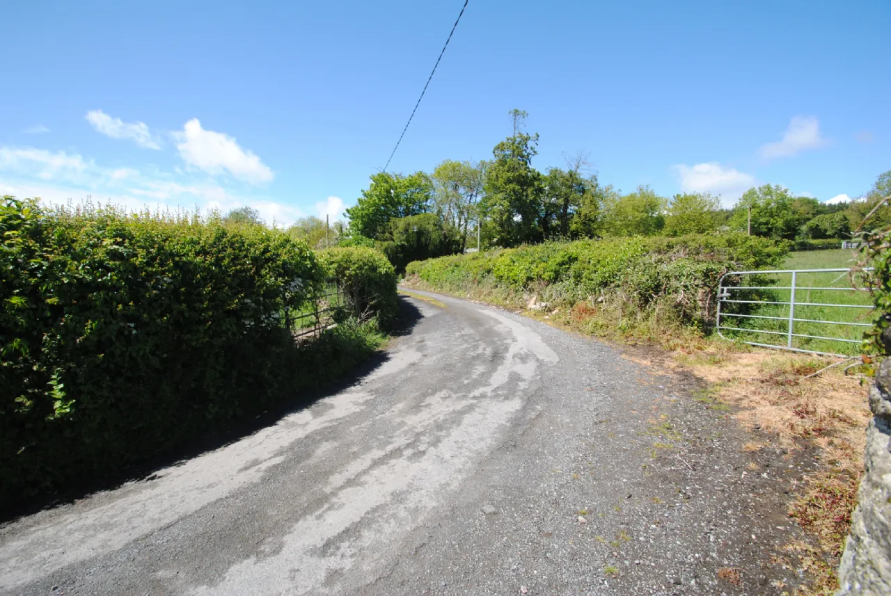 Photo of Carraigaun, Ballaghmore, Roscrea, Co Tipperary, R32 WN3X
