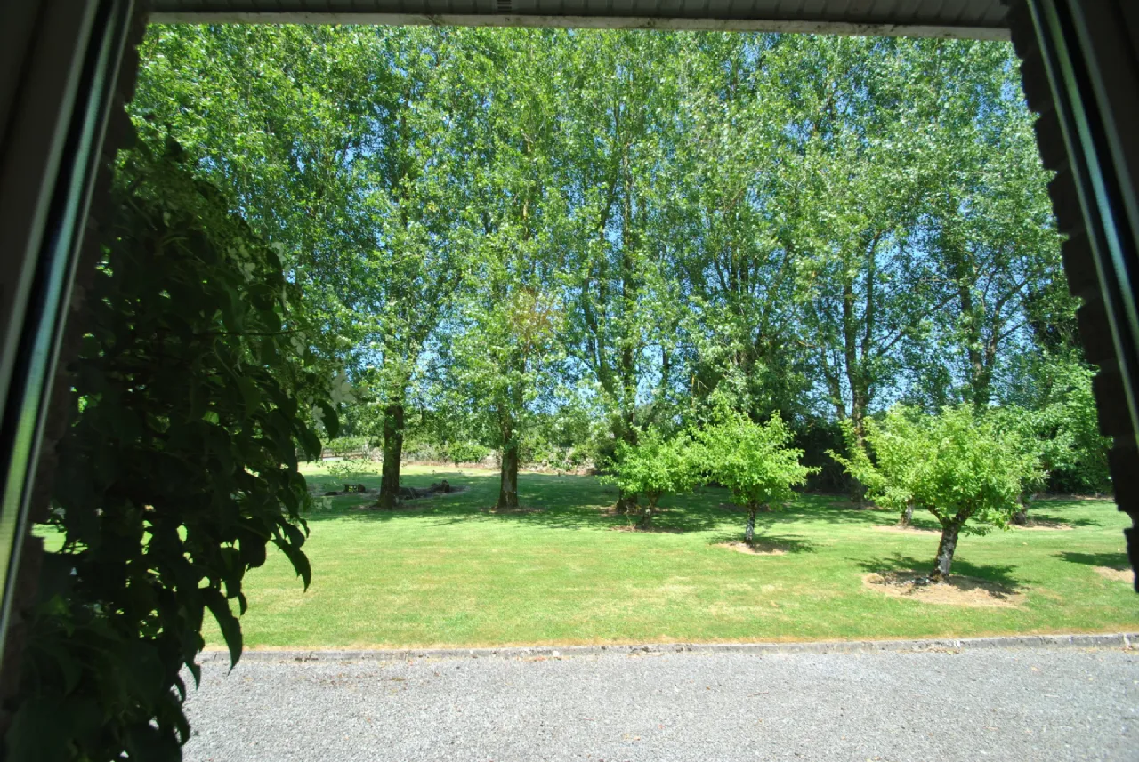 Photo of Carraigaun, Ballaghmore, Roscrea, Co Tipperary, R32 WN3X