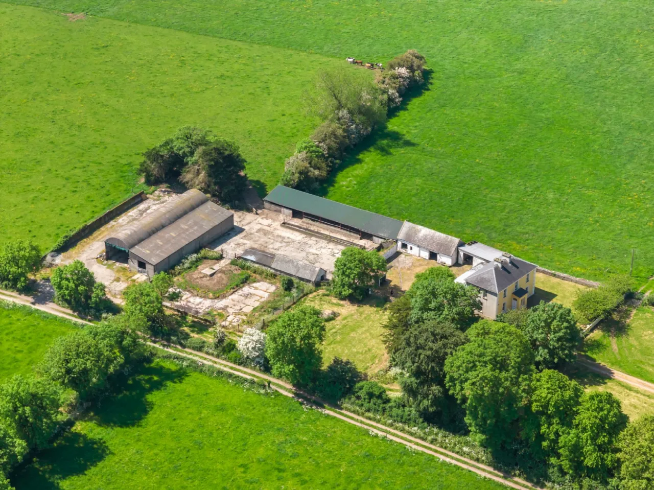 Photo of Ballynamuddagh House & Farm, Approx. 62.9 Ha (155.4 Acres), Dromin, Kilmallock, County Limerick, V35KW95