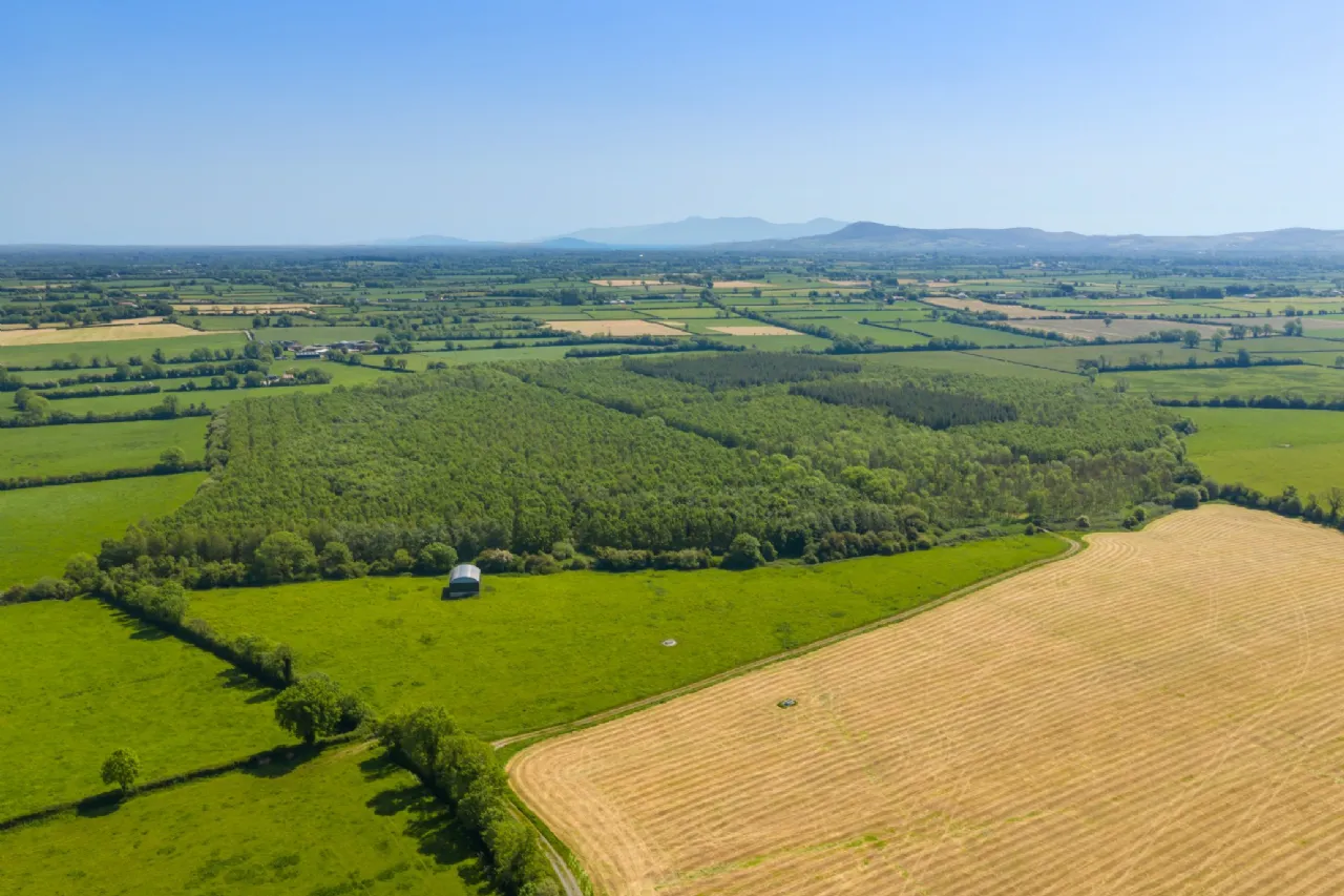 Photo of Ballynamuddagh House & Farm, Approx. 62.9 Ha (155.4 Acres), Dromin, Kilmallock, County Limerick, V35KW95