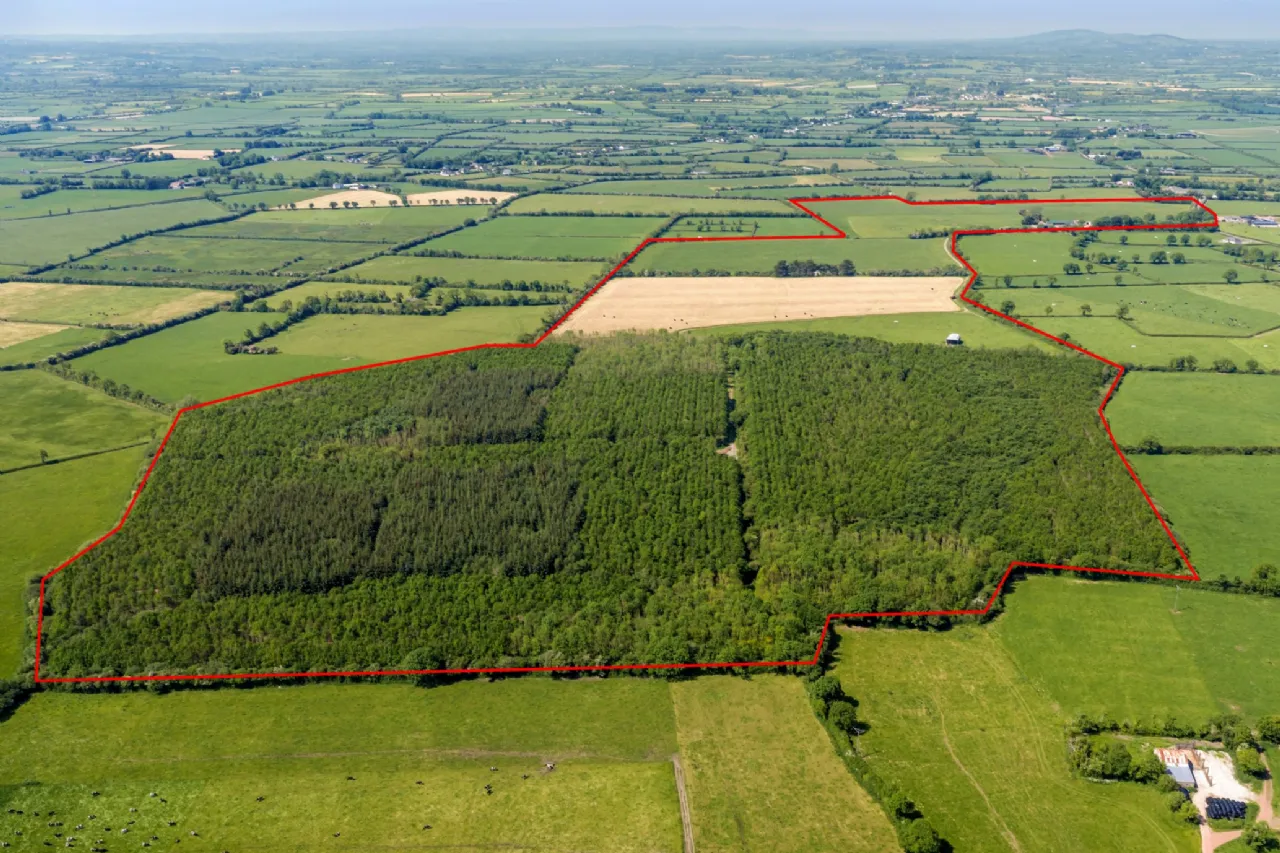 Photo of Ballynamuddagh House & Farm, Approx. 62.9 Ha (155.4 Acres), Dromin, Kilmallock, County Limerick, V35KW95