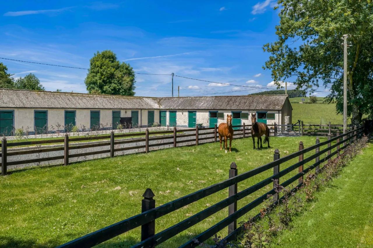 Photo of Cherryfield Lodge, Ballysax, Curragh, County Kildare, R56W954
