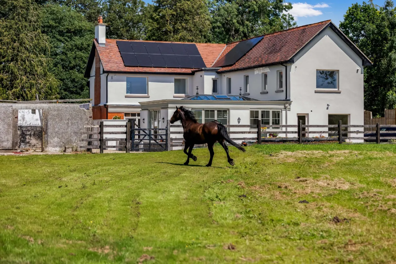 Photo of Cherryfield Lodge, Ballysax, Curragh, County Kildare, R56W954