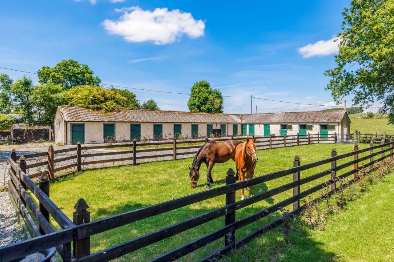 Photo of Cherryfield Lodge, Ballysax, Curragh, County Kildare, R56W954