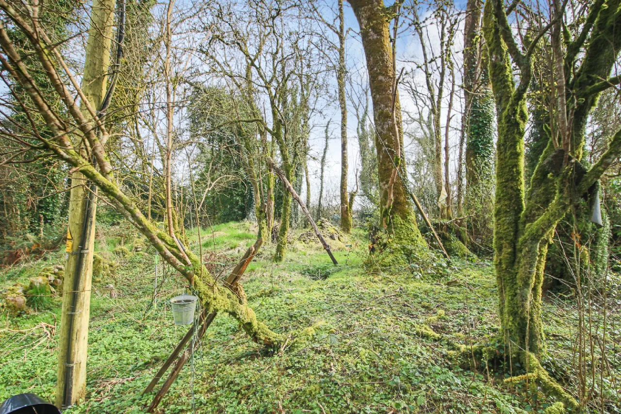 Photo of Leitrim Lower, Eslin, Co. Leitrim, N41 A6K0