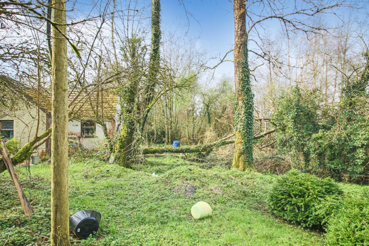 Photo of Leitrim Lower, Eslin, Co. Leitrim, N41 A6K0