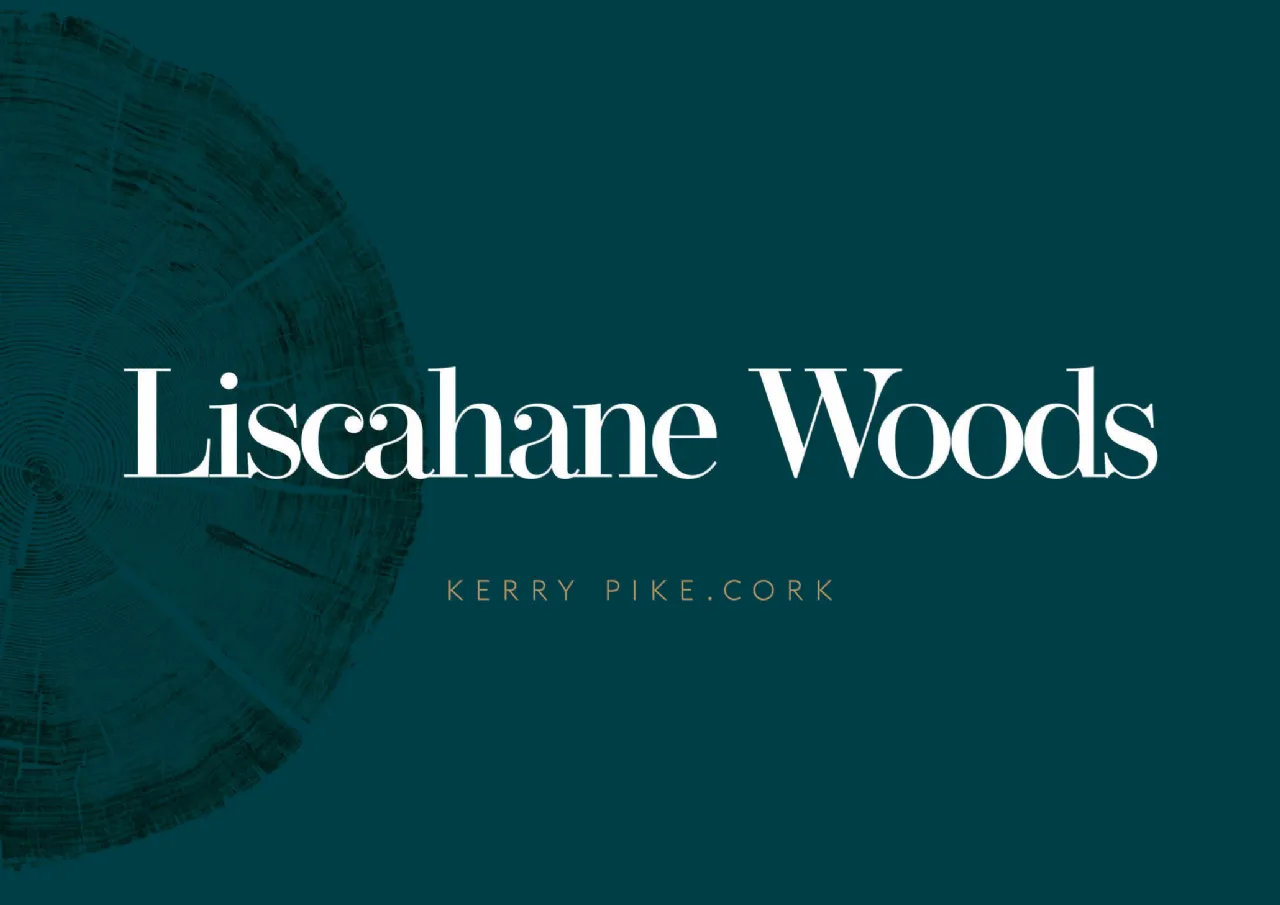 Photo of 4 Bed Detached, Liscahane Woods, Kerry Pike, Cork