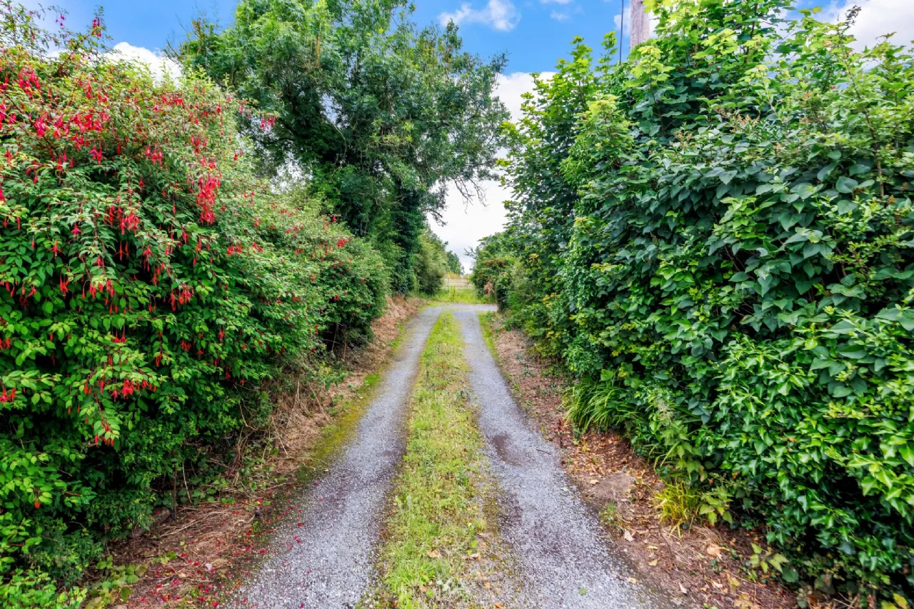 Photo of Muff, Nobber, Co Meath, A82 TW86