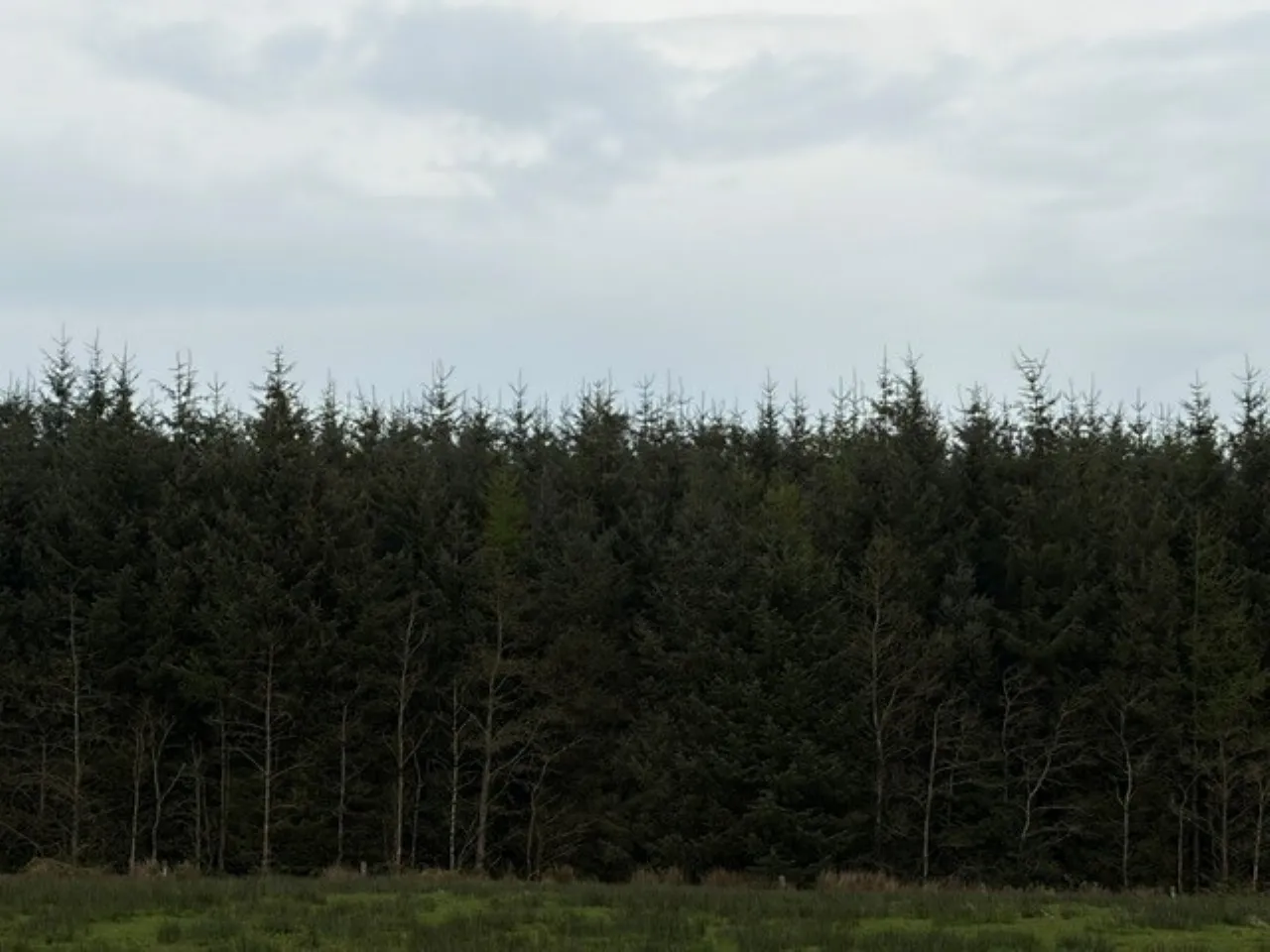Photo of Foilnacanna, Kilcommon, Thurles, Co. Tipperary