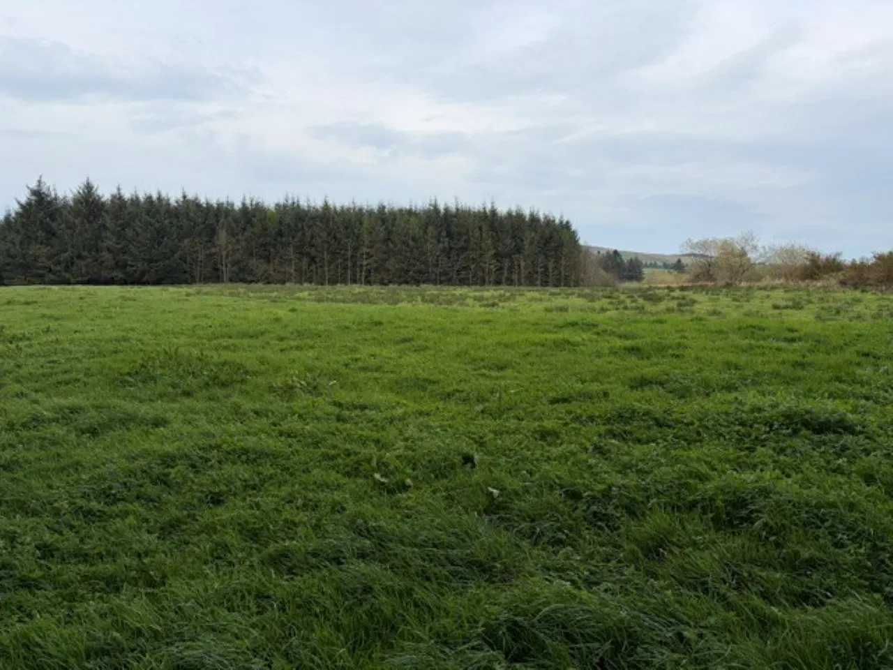 Photo of Foilnacanna, Kilcommon, Thurles, Co. Tipperary