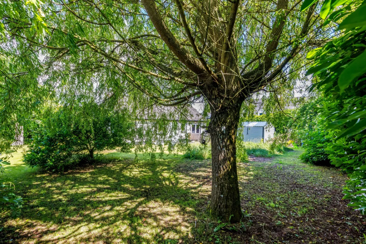 Photo of The Bungalow, O'Growney Street, Athboy, Co Meath, C15Y393