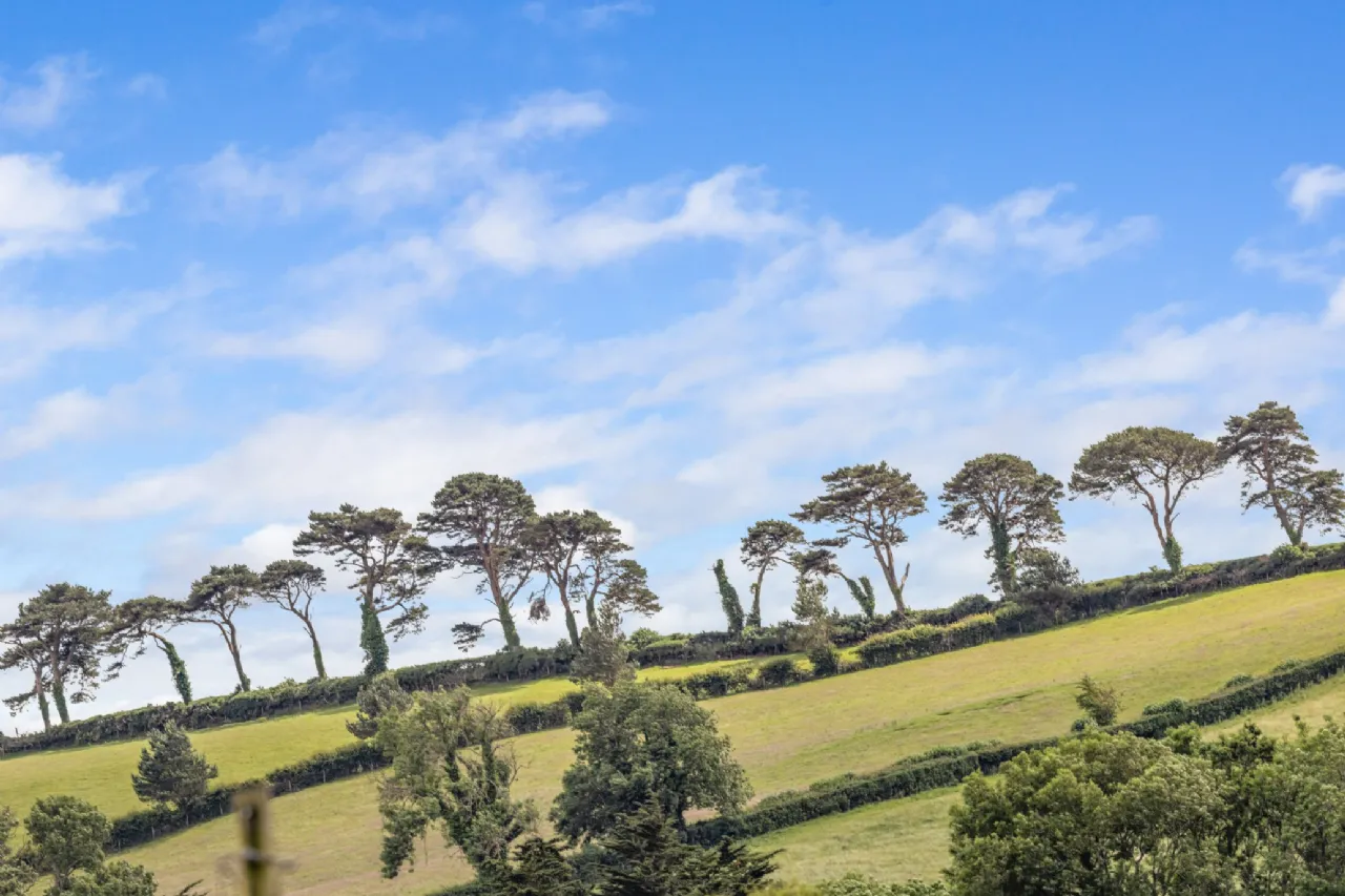 Photo of 3 Bellevue Cottages, Delgany, Co. Wicklow, A63PV29