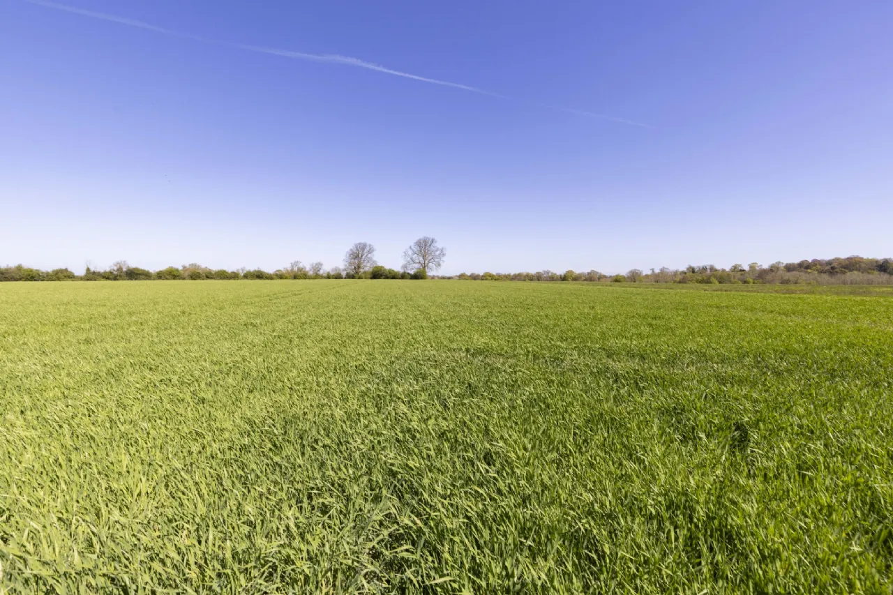 Photo of Ardsallagh House, On Approx. 80.53 Ha (199 Acres), Ardsallagh, Navan, Co Meath, C15 X796