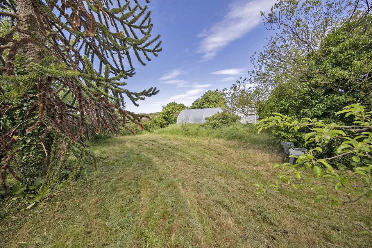 Photo of Rectory Cottage, West Street, Tallow, Co Waterford, P51 X6X7