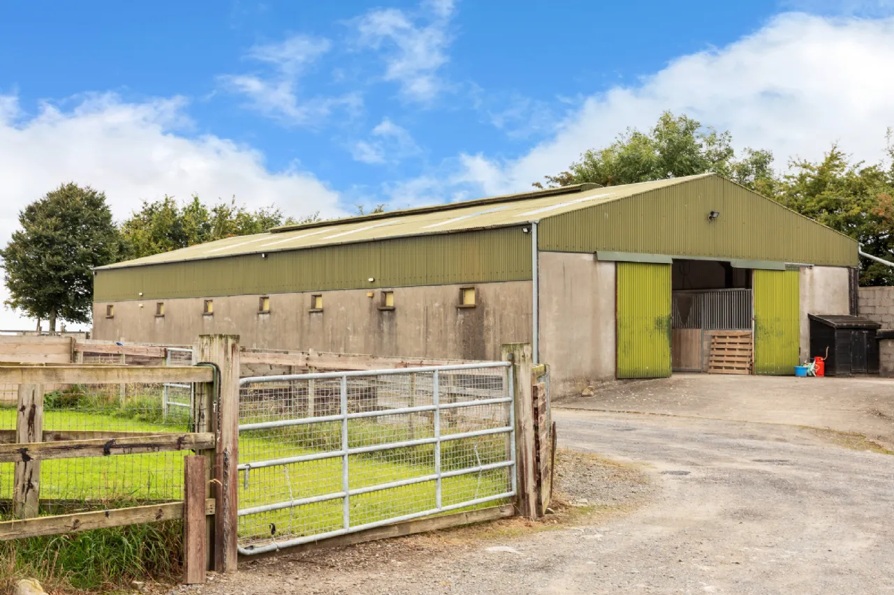 Photo of Beaconhill, On Approx 15.7 Ha 38.77 Acres, Kennycourt, Brannockstown, Co Kildare, W91 Y303
