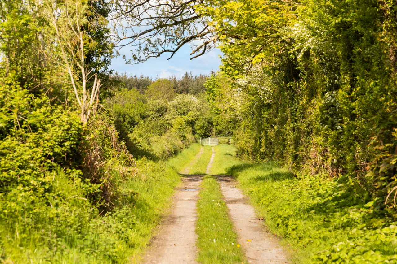Photo of Ballylanigan House, Mullinahone, County Tipperary, E41 HR60