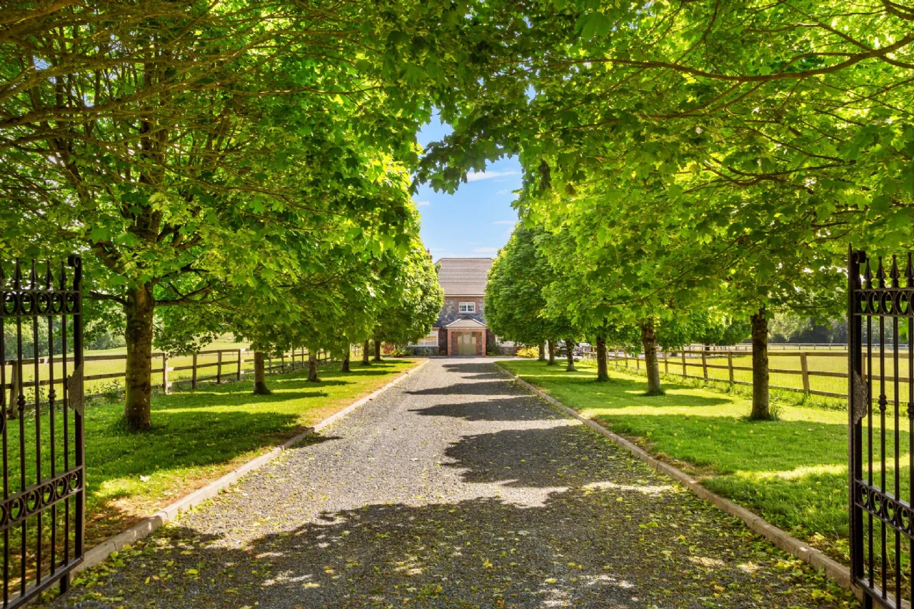 Photo of Mylerstown Park Stud, Mylerstown, Carbury, Co Kildare, W91EF64