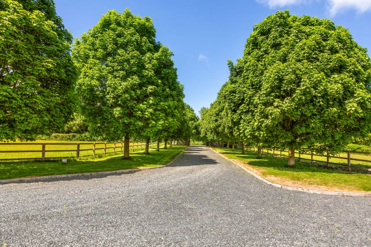 Photo of Mylerstown Park Stud, Mylerstown, Carbury, Co Kildare, W91EF64