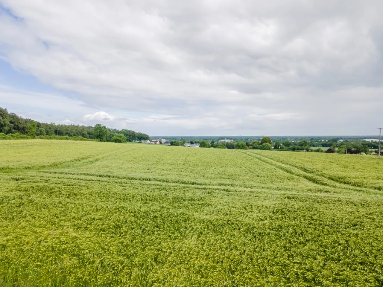 Photo of Ballymorris, Portarlington, Co. Laois