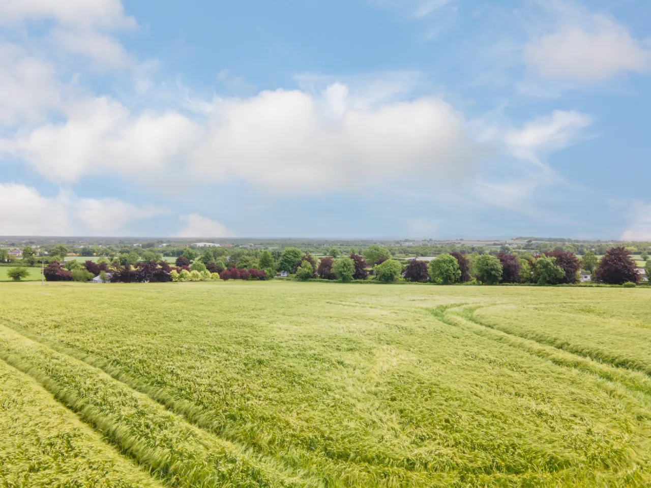 Photo of Ballymorris, Portarlington, Co. Laois
