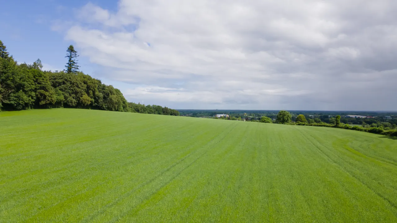 Photo of Ballymorris, Portarlington, Co. Laois
