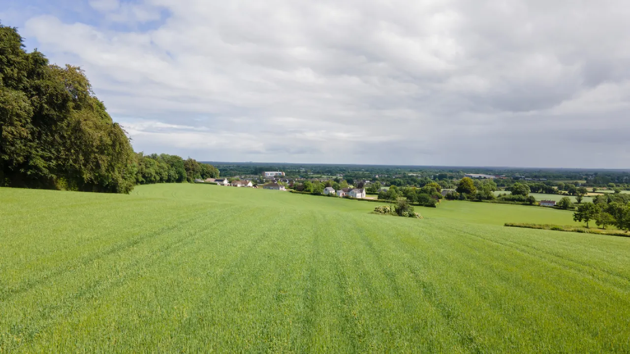 Photo of Ballymorris, Portarlington, Co. Laois