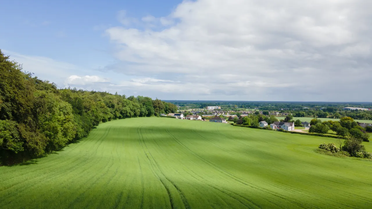 Photo of Ballymorris, Portarlington, Co. Laois