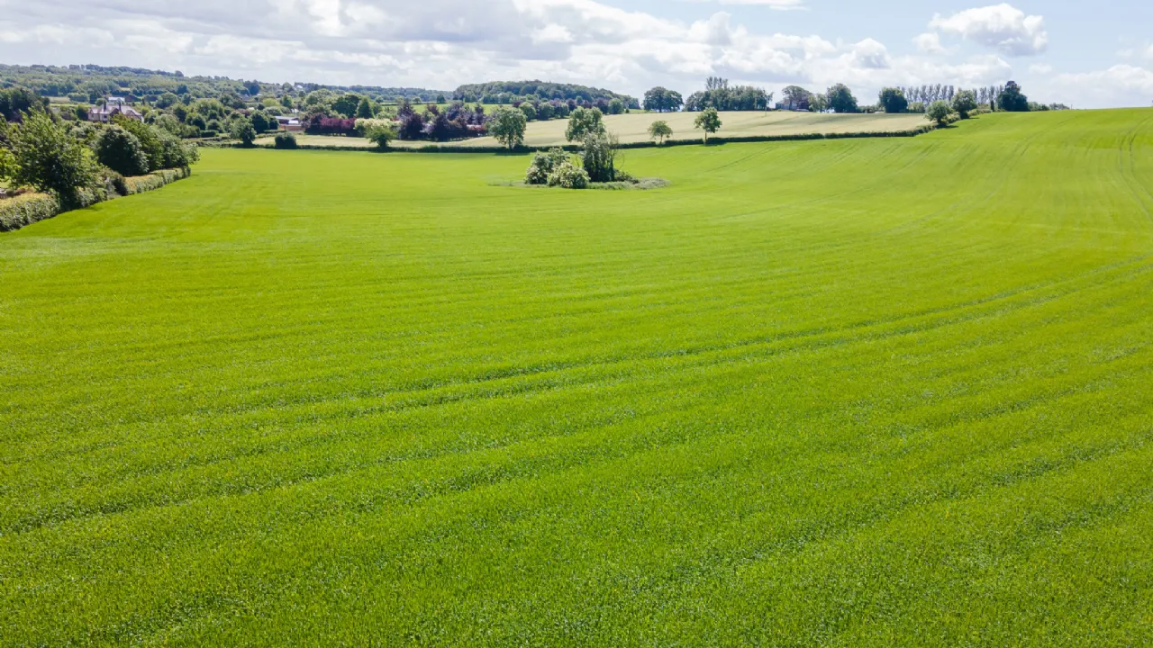 Photo of Ballymorris, Portarlington, Co. Laois