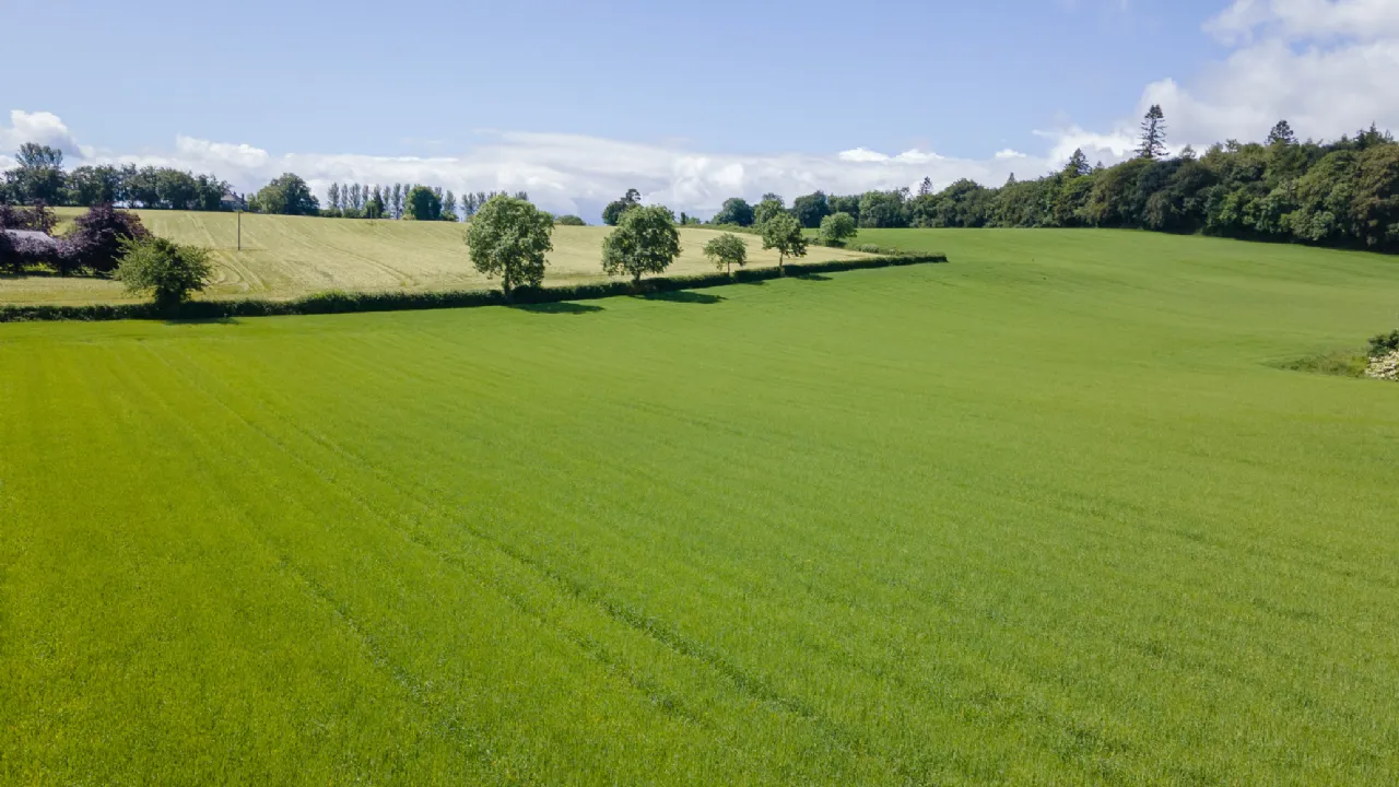 Photo of Ballymorris, Portarlington, Co. Laois