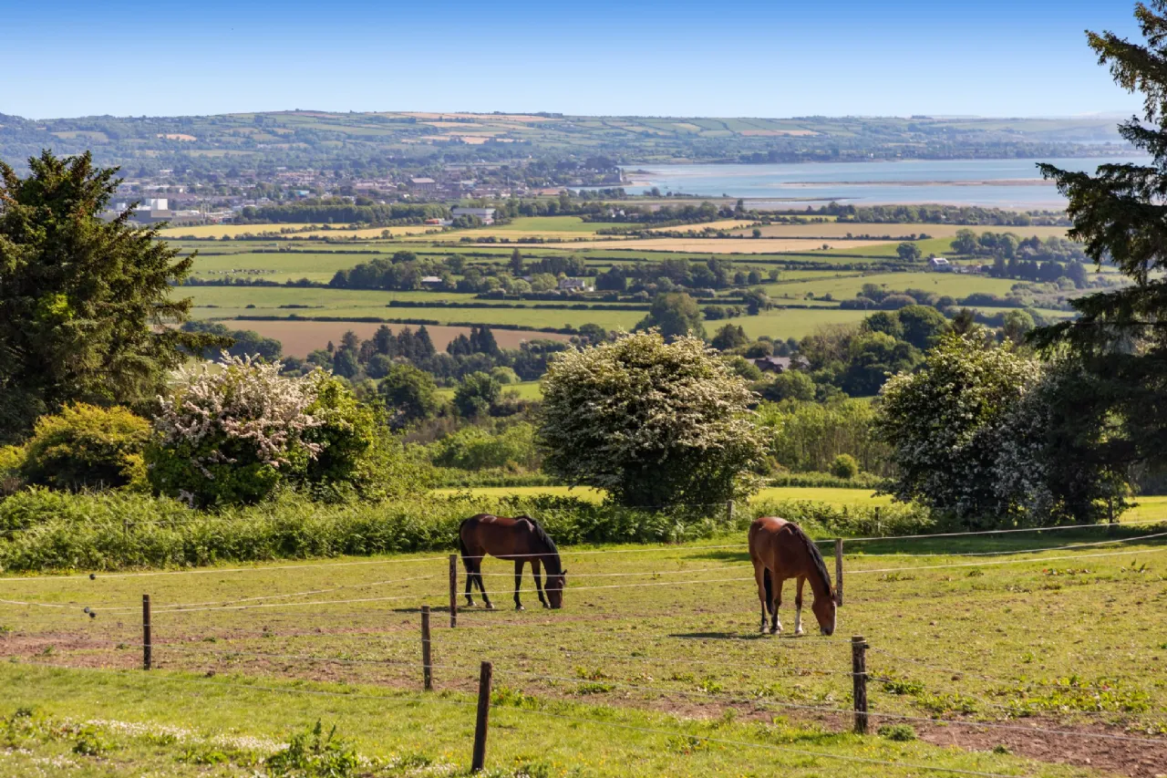 Photo of Hillside On C.15.91acres, Glenbeg, Dungarvan, County Waterford, X35 D732